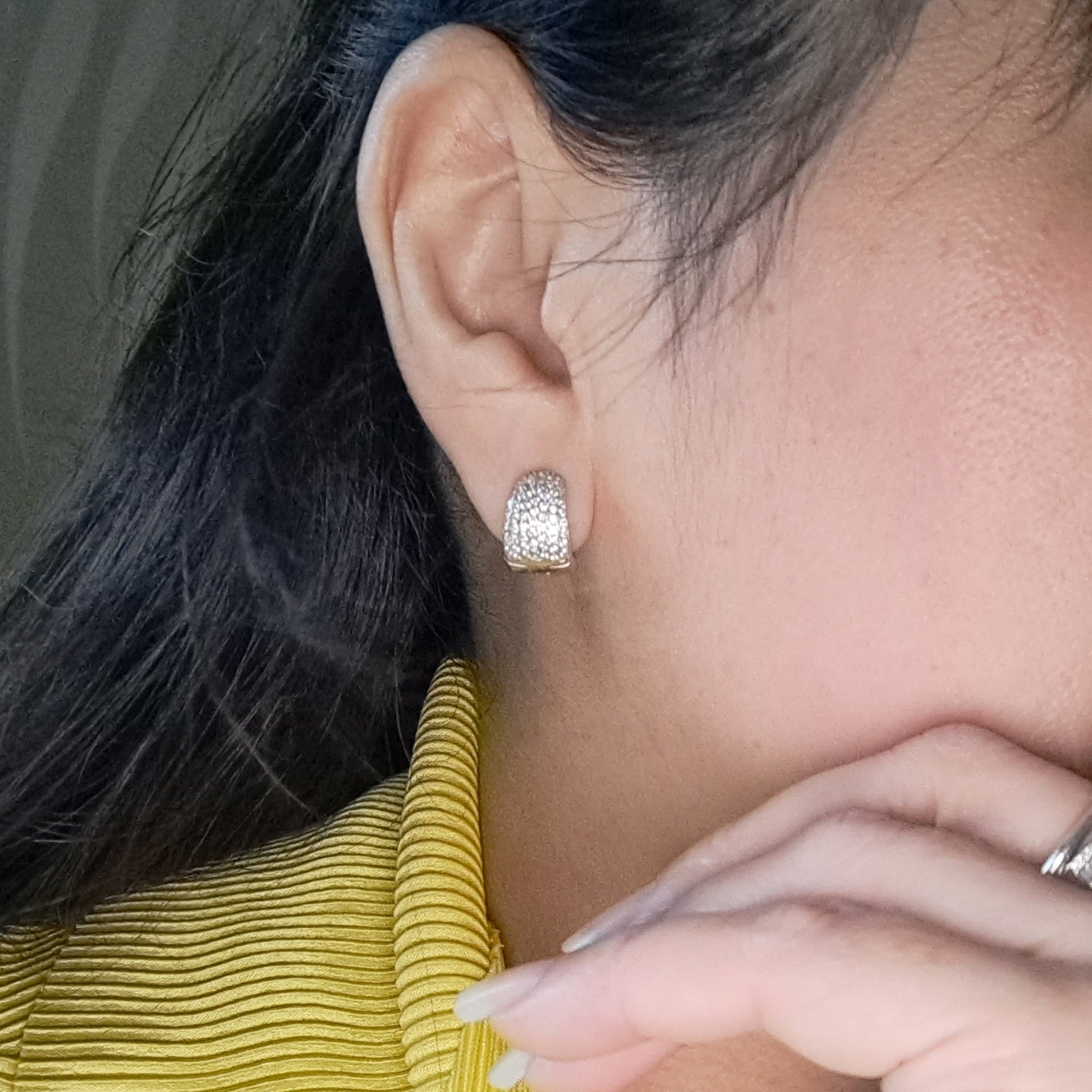 Micro Pave loop Earrings
