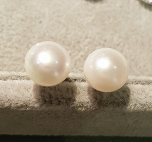 Classy Elegant Pearl Earring