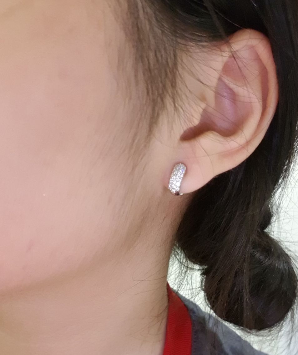 Dainty Omega clip Pave Earrings