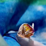 Colourful Fish Ring