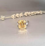 Hidden Halo scintilli with Baguette Canary Ring