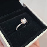 Micro Pave Engagement Diamond Ring