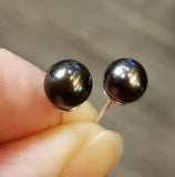 Pearl Studs